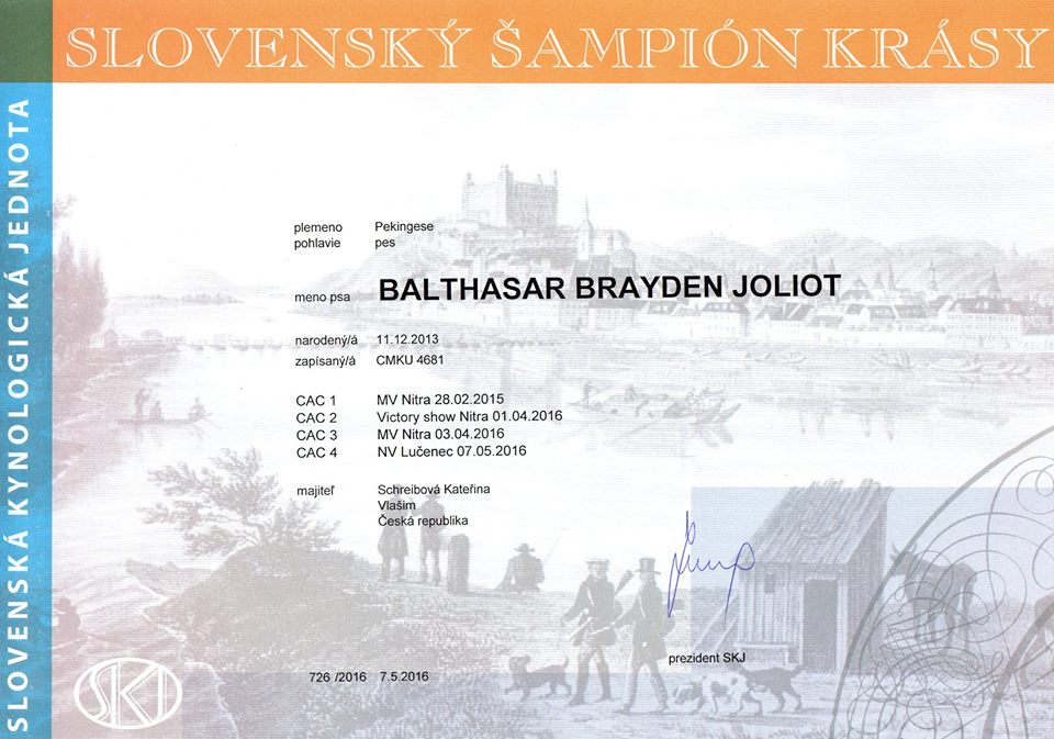 Champion SK - Balthasar Brayden Joliot