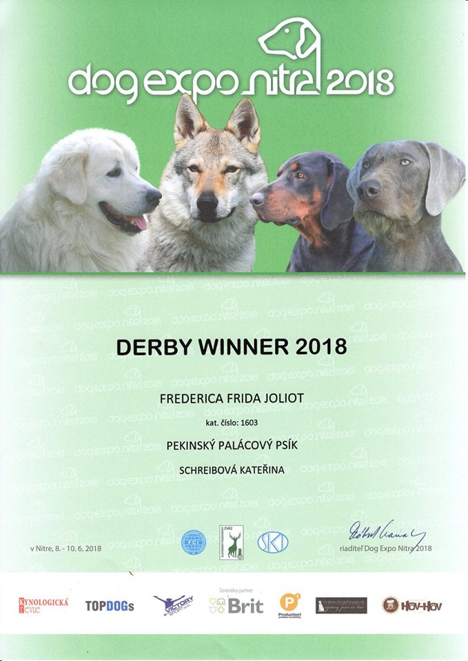 Derby Winner 2018 - Frederica Frida Joliot