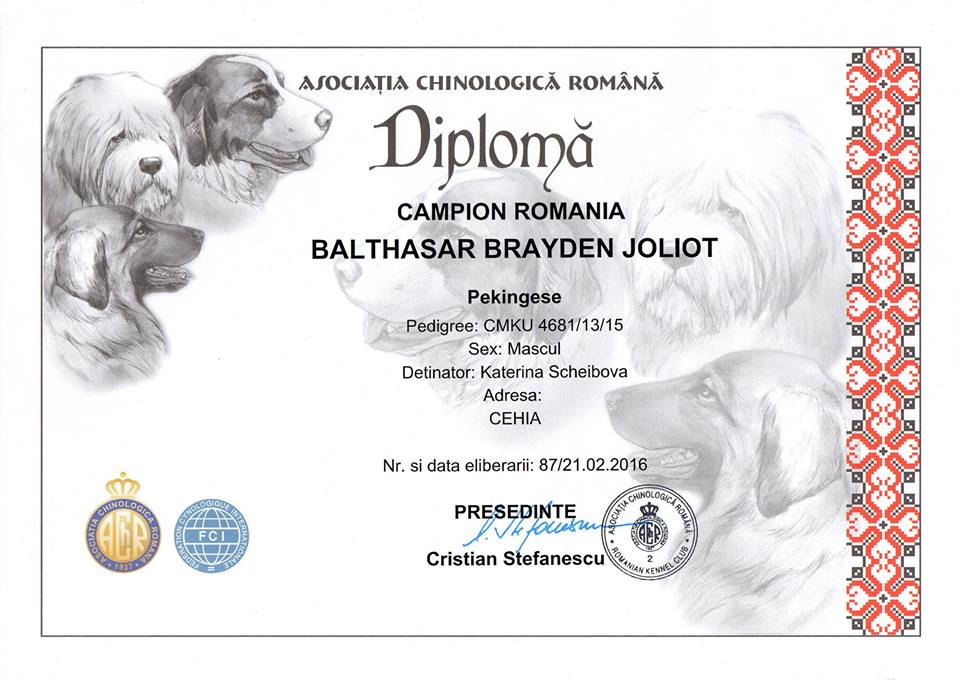 Champion Romania - Balthasar Brayden Joliot