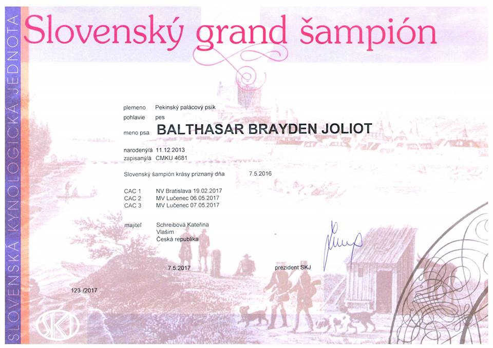 Grand Champion Slovakia - Balthasar Brayden Joliot