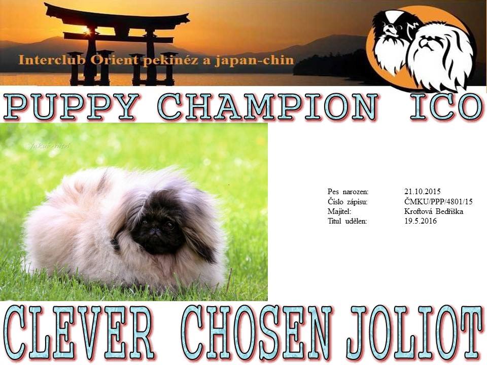 Puppy Champion ICO - CLEVER CHOSEN Jolit