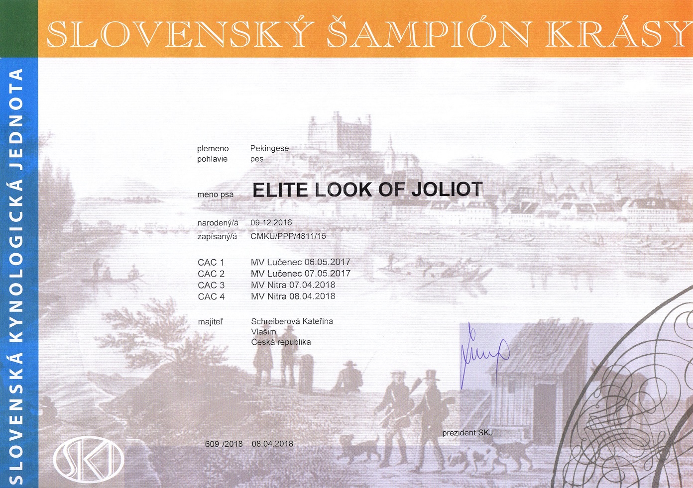 Slovenský šampion krásy - ELITE LOOK OF Joliot