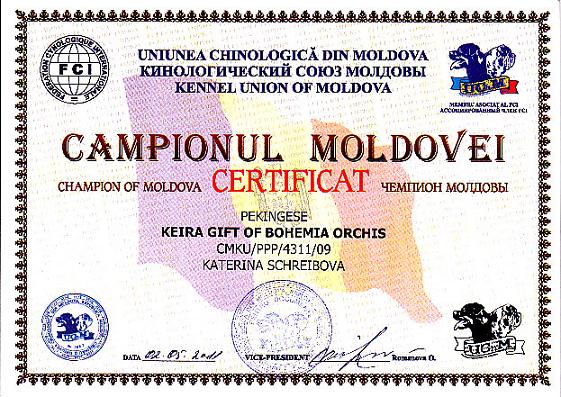 champion-moldova