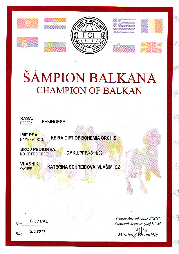 champion_balkan
