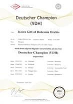 Deutscher_Champion(VDH)